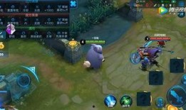 王者人鱼英雄爆料最新视频,最新视频曝光，神秘人鱼实力解析