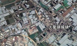 新会区大鳌镇爆料事件最新,真相揭开，悬念揭晓！