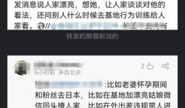 网红吃瓜事件聊天记录,聊天记录揭露惊人内幕