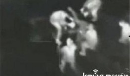 俄罗斯内部爆料事件视频,爆料视频揭露惊人真相