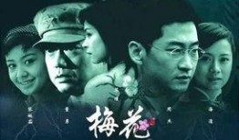 梅花档案在线观看,揭秘传奇女性的传奇人生
