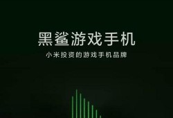雷军新手机爆料视频,颠覆性设计，性能突破，揭秘未来旗舰手机新篇章”