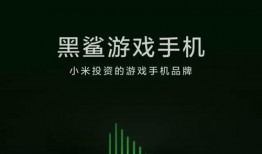 雷军新手机爆料视频,颠覆性设计，性能突破，揭秘未来旗舰手机新篇章”
